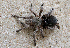  ( - LMO005_2023)  @11 [ ] Unspecified (default): All Rights Reserved  Unspecified Unspecified
