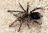  ( - LMO010_2023)  @11 [ ] Unspecified (default): All Rights Reserved  Unspecified Unspecified