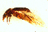  ( - NZ770_2023)  @11 [ ] Unspecified (default): All Rights Reserved  Unspecified Unspecified
