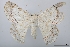  ( - USNM ENT 00731699a)  @11 [ ] Unspecified (default): All Rights Reserved  Unspecified Unspecified
