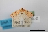  ( - USNM ENT 00797767a)  @11 [ ] Unspecified (default): All Rights Reserved  Unspecified Unspecified