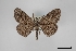  ( - USNM ENT 02001320)  @11 [ ] Unspecified (default): All Rights Reserved  Unspecified Unspecified