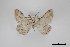  ( - USNM ENT 02001321)  @11 [ ] Unspecified (default): All Rights Reserved  Unspecified Unspecified