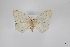  ( - USNM ENT 02001349)  @11 [ ] Unspecified (default): All Rights Reserved  Unspecified Unspecified