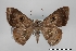 ( - USNM ENT 02001367)  @11 [ ] Unspecified (default): All Rights Reserved  Unspecified Unspecified