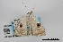  ( - USNM ENT 02001371)  @11 [ ] Unspecified (default): All Rights Reserved  Unspecified Unspecified