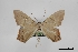  ( - USNM ENT 02001379)  @11 [ ] Unspecified (default): All Rights Reserved  Unspecified Unspecified