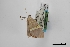 ( - USNM ENT 02001382)  @11 [ ] Unspecified (default): All Rights Reserved  Unspecified Unspecified