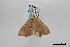  ( - USNM ENT 02001387)  @11 [ ] Unspecified (default): All Rights Reserved  Unspecified Unspecified