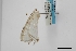  ( - USNM ENT 02001388)  @11 [ ] Unspecified (default): All Rights Reserved  Unspecified Unspecified