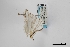  ( - USNM ENT 02001389)  @11 [ ] Unspecified (default): All Rights Reserved  Unspecified Unspecified