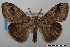  ( - USNM ENT 02004401)  @11 [ ] Unspecified (default): All Rights Reserved  Unspecified Unspecified