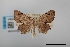  ( - USNM ENT 02004426)  @11 [ ] Unspecified (default): All Rights Reserved  Unspecified Unspecified