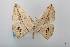  ( - USNM ENT 02004501)  @11 [ ] Unspecified (default): All Rights Reserved  Unspecified Unspecified
