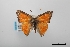  ( - USNM ENT 02004508)  @11 [ ] Unspecified (default): All Rights Reserved  Unspecified Unspecified
