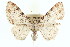 ( - CCDB-20271-A01)  @14 [ ] CreativeCommons - Attribution (2013) CBG Photography Group Centre for Biodiversity Genomics