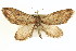  ( - CCDB-20271-B06)  @11 [ ] CreativeCommons - Attribution (2013) CBG Photography Group Centre for Biodiversity Genomics