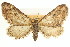  ( - CCDB-20271-B09)  @11 [ ] CreativeCommons - Attribution (2013) CBG Photography Group Centre for Biodiversity Genomics