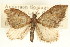  ( - CCDB-20271-C04)  @11 [ ] CreativeCommons - Attribution (2013) CBG Photography Group Centre for Biodiversity Genomics