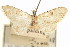  ( - CCDB-20271-G05)  @11 [ ] CreativeCommons - Attribution (2013) CBG Photography Group Centre for Biodiversity Genomics