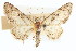  ( - CCDB-20271-H05)  @11 [ ] CreativeCommons - Attribution (2013) CBG Photography Group Centre for Biodiversity Genomics