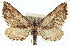  ( - CCDB-20272-A02)  @14 [ ] CreativeCommons - Attribution (2013) CBG Photography Group Centre for Biodiversity Genomics