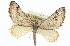  ( - CCDB-20272-B04)  @14 [ ] CreativeCommons - Attribution (2013) CBG Photography Group Centre for Biodiversity Genomics