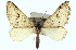  ( - CCDB-20272-B06)  @14 [ ] CreativeCommons - Attribution (2013) CBG Photography Group Centre for Biodiversity Genomics