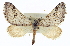  ( - CCDB-20272-C02)  @14 [ ] CreativeCommons - Attribution (2013) CBG Photography Group Centre for Biodiversity Genomics