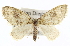  ( - CCDB-20272-C04)  @14 [ ] CreativeCommons - Attribution (2013) CBG Photography Group Centre for Biodiversity Genomics