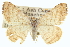 ( - CCDB-20272-F06)  @14 [ ] CreativeCommons - Attribution (2013) CBG Photography Group Centre for Biodiversity Genomics