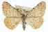  ( - CCDB-20272-F08)  @15 [ ] CreativeCommons - Attribution (2013) CBG Photography Group Centre for Biodiversity Genomics