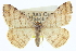  ( - CCDB-20272-F09)  @14 [ ] CreativeCommons - Attribution (2013) CBG Photography Group Centre for Biodiversity Genomics