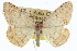  ( - CCDB-20272-F10)  @14 [ ] CreativeCommons - Attribution (2013) CBG Photography Group Centre for Biodiversity Genomics