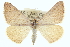  ( - CCDB-20272-G04)  @15 [ ] CreativeCommons - Attribution (2013) CBG Photography Group Centre for Biodiversity Genomics