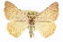  ( - CCDB-20272-G05)  @14 [ ] CreativeCommons - Attribution (2013) CBG Photography Group Centre for Biodiversity Genomics