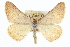  ( - CCDB-20272-G06)  @14 [ ] CreativeCommons - Attribution (2013) CBG Photography Group Centre for Biodiversity Genomics