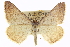  ( - CCDB-20272-G07)  @11 [ ] CreativeCommons - Attribution (2013) CBG Photography Group Centre for Biodiversity Genomics