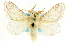  ( - CCDB-19575-B02)  @15 [ ] CreativeCommons - Attribution (2012) CBG Photography Group Centre for Biodiversity Genomics