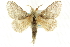  ( - CCDB-19575-B07)  @11 [ ] CreativeCommons - Attribution (2012) CBG Photography Group Centre for Biodiversity Genomics