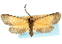  ( - CCDB-19576-F11)  @11 [ ] CreativeCommons - Attribution (2012) CBG Photography Group Centre for Biodiversity Genomics