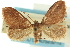  ( - CCDB-19577-D06)  @14 [ ] CreativeCommons - Attribution (2012) CBG Photography Group Centre for Biodiversity Genomics