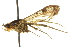  ( - CCDB-19578-H09)  @13 [ ] CreativeCommons - Attribution (2012) CBG Photography Group Centre for Biodiversity Genomics