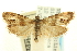  ( - CCDB-19579-E04)  @13 [ ] CreativeCommons - Attribution (2012) CBG Photography Group Centre for Biodiversity Genomics