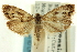  ( - CCDB-19579-E05)  @13 [ ] CreativeCommons - Attribution (2012) CBG Photography Group Centre for Biodiversity Genomics