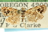  ( - CCDB-19580-A07)  @11 [ ] CreativeCommons - Attribution (2012) CBG Photography Group Centre for Biodiversity Genomics