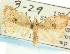  ( - CCDB-19580-C03)  @11 [ ] CreativeCommons - Attribution (2012) CBG Photography Group Centre for Biodiversity Genomics