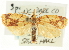  ( - CCDB-19580-E10)  @11 [ ] CreativeCommons - Attribution (2012) CBG Photography Group Centre for Biodiversity Genomics