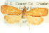  ( - CCDB-19580-G04)  @13 [ ] CreativeCommons - Attribution (2012) CBG Photography Group Centre for Biodiversity Genomics