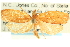  ( - CCDB-19580-G05)  @14 [ ] CreativeCommons - Attribution (2012) CBG Photography Group Centre for Biodiversity Genomics